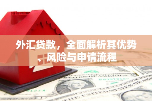 防城港外汇贷款，全面解析其优势、风险与申请流程