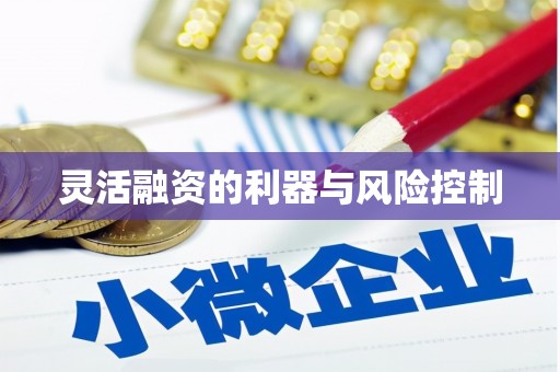 防城港灵活融资的利器与风险控制