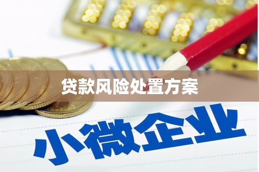 防城港贷款风险处置方案