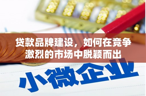 防城港贷款品牌建设，如何在竞争激烈的市场中脱颖而出
