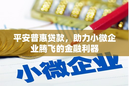防城港平安普惠贷款，助力小微企业腾飞的金融利器