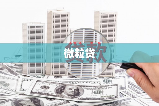防城港微粒贷