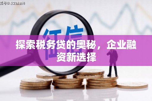 防城港探索税务贷的奥秘，企业融资新选择