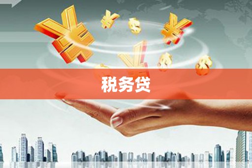 防城港税务贷