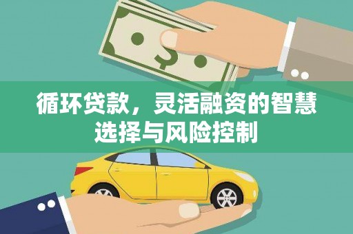 防城港循环贷款，灵活融资的智慧选择与风险控制