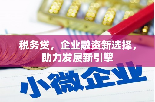 防城港税务贷，企业融资新选择，助力发展新引擎