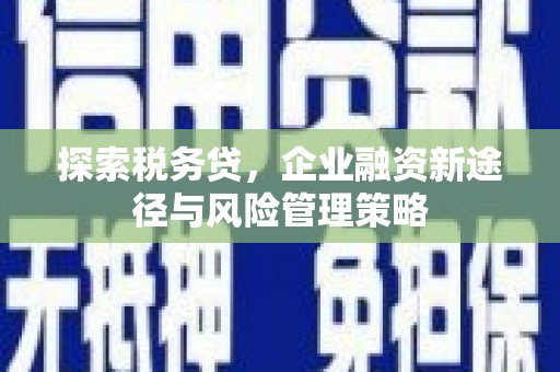 防城港探索税务贷，企业融资新途径与风险管理策略