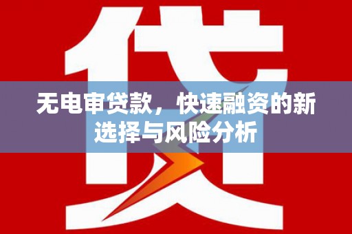 防城港无电审贷款，快速融资的新选择与风险分析