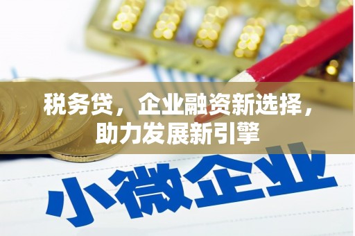 防城港税务贷，企业融资新选择，助力发展新引擎