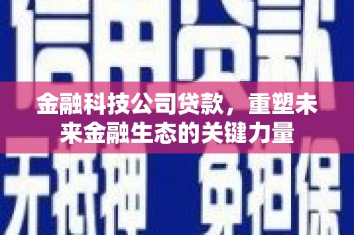 防城港金融科技公司贷款，重塑未来金融生态的关键力量