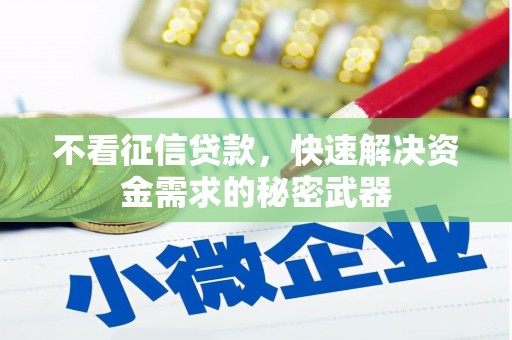 防城港不看征信贷款，快速解决资金需求的秘密武器