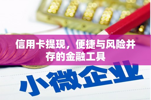 防城港信用卡提现，便捷与风险并存的金融工具