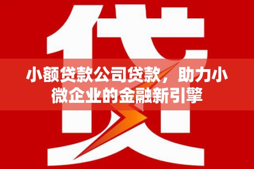 防城港小额贷款公司贷款，助力小微企业的金融新引擎