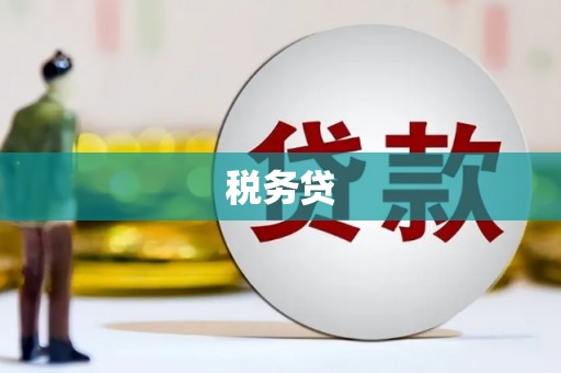 防城港税务贷