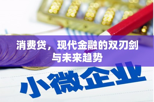 防城港消费贷，现代金融的双刃剑与未来趋势