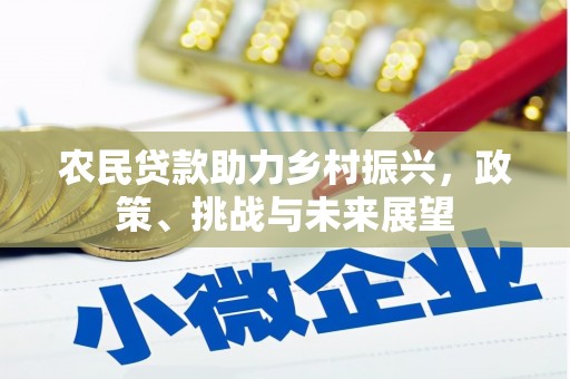 防城港农民贷款助力乡村振兴，政策、挑战与未来展望