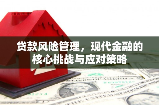 防城港贷款风险管理，现代金融的核心挑战与应对策略