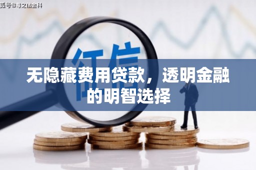 防城港无隐藏费用贷款，透明金融的明智选择