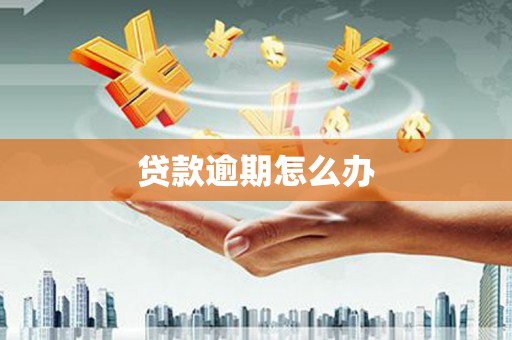 防城港贷款逾期怎么办