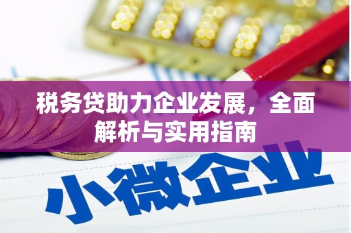防城港税务贷助力企业发展，全面解析与实用指南
