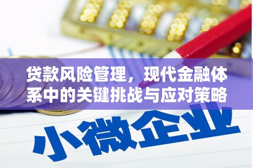 防城港贷款风险管理，现代金融体系中的关键挑战与应对策略