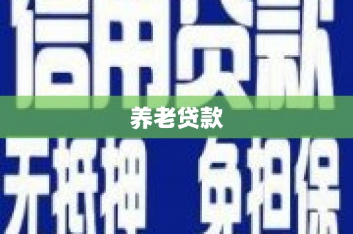 防城港养老贷款