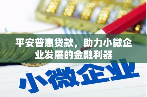防城港平安普惠贷款，助力小微企业发展的金融利器