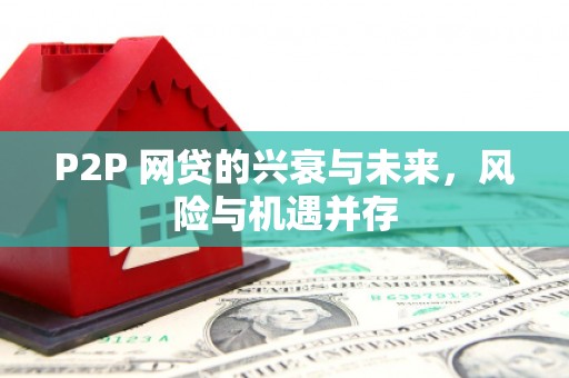 防城港P2P 网贷的兴衰与未来，风险与机遇并存