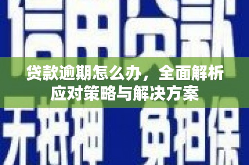 防城港贷款逾期怎么办，全面解析应对策略与解决方案
