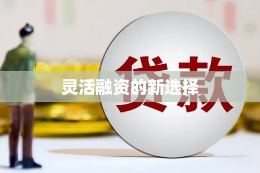 防城港灵活融资的新选择
