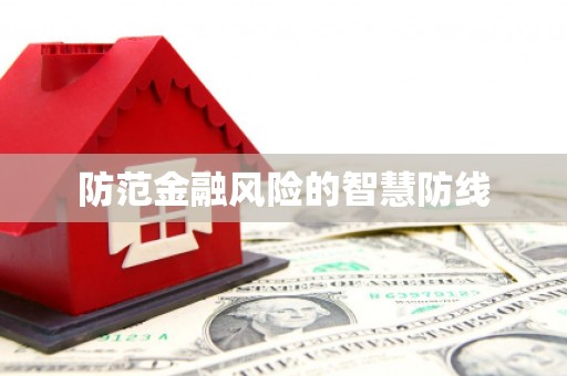 防城港防范金融风险的智慧防线