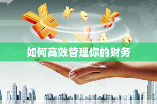 防城港如何高效管理你的财务