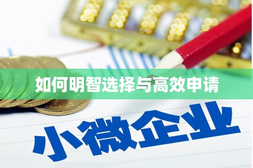 防城港如何明智选择与高效申请