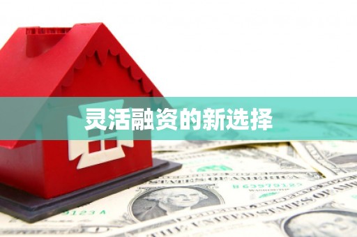 防城港灵活融资的新选择