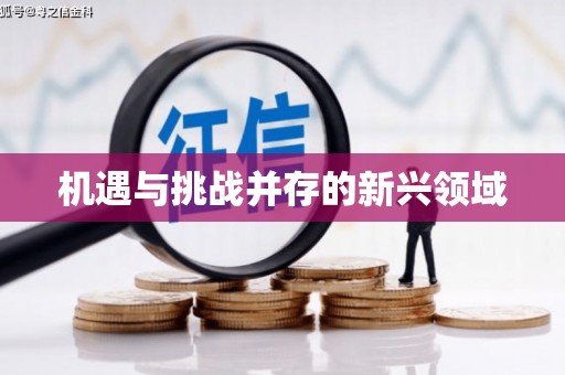 防城港机遇与挑战并存的新兴领域