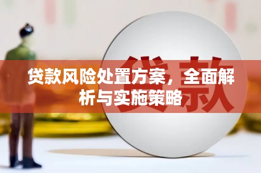 防城港贷款风险处置方案，全面解析与实施策略