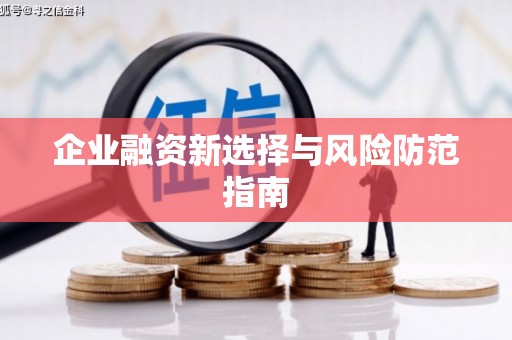 防城港企业融资新选择与风险防范指南